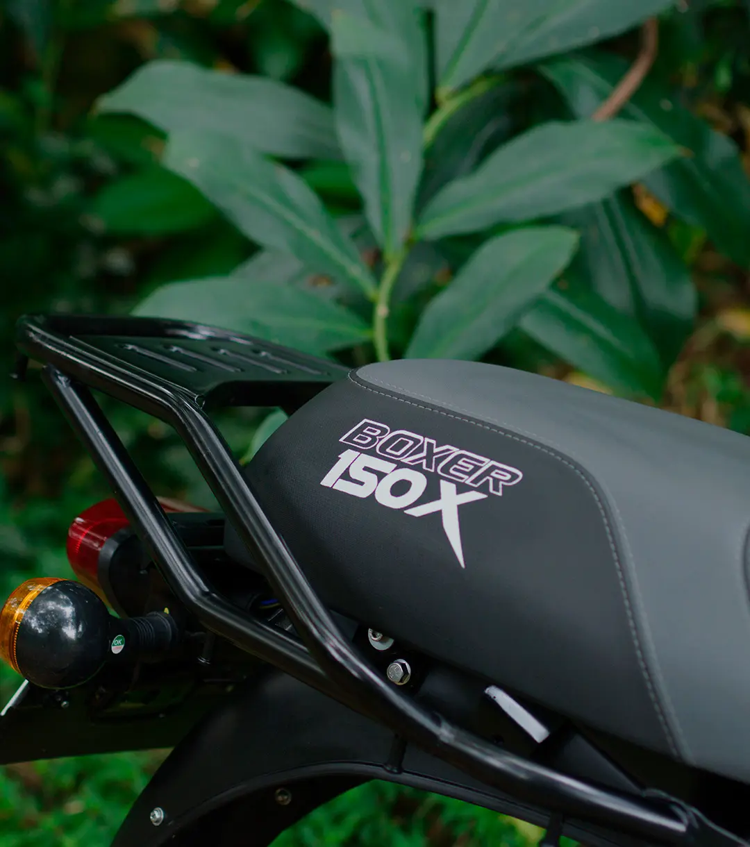 Detalles-boxer-150x-1